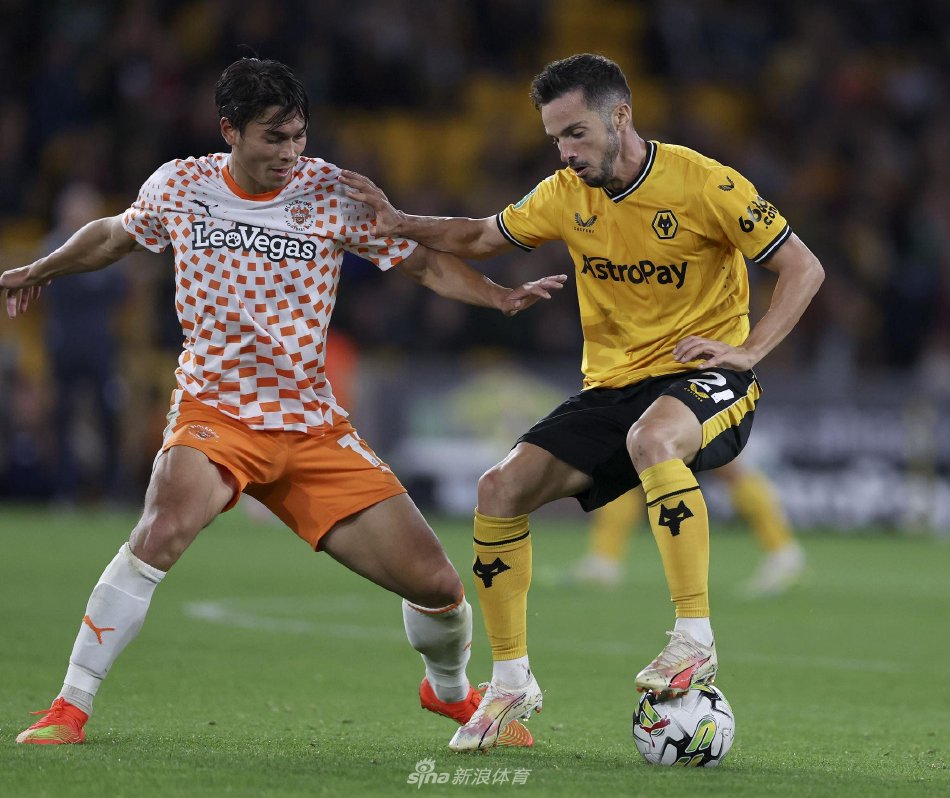 他不仅在关 他不仅在关